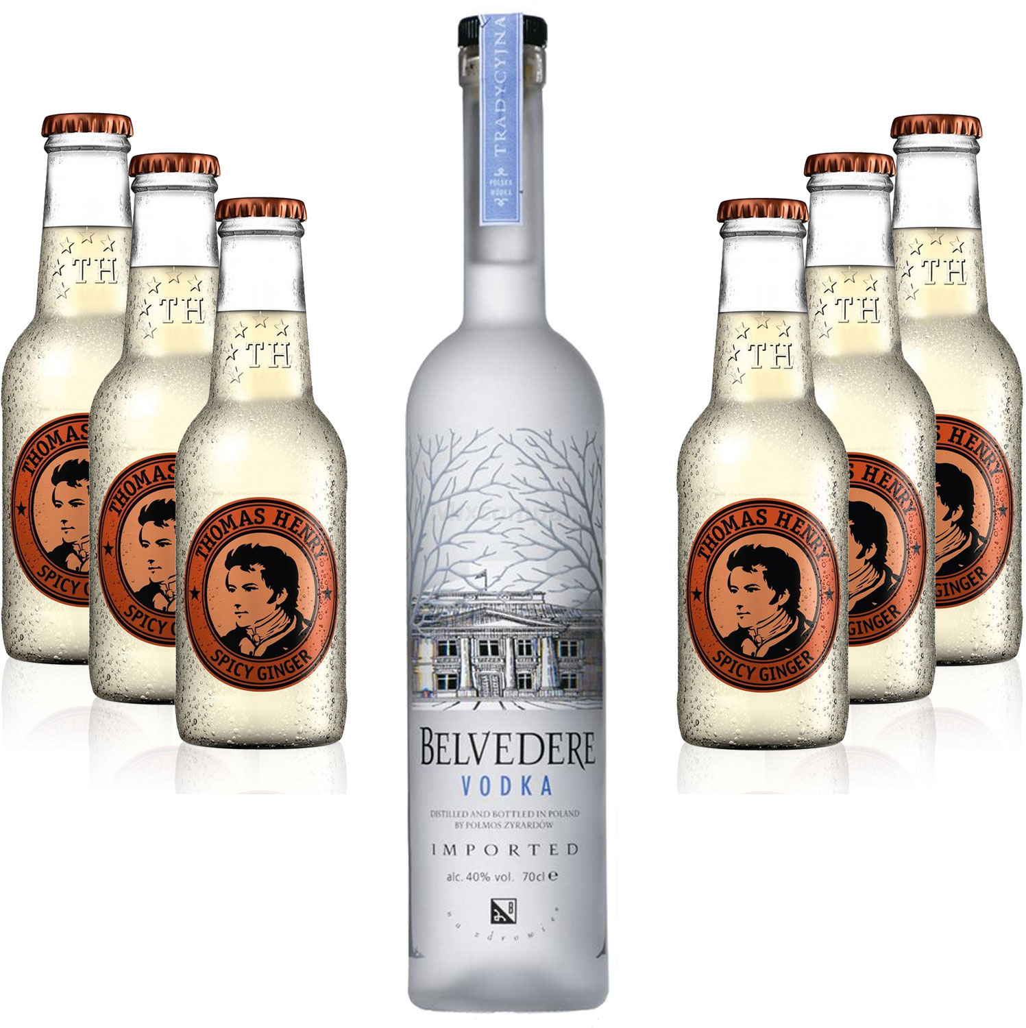 Moscow Mule Set - Belvedere Vodka 0,7l 700ml (40% Vol) + 6x Thomas Henry Spicy Ginger 200ml - Inkl. Pfand MEHRWEG