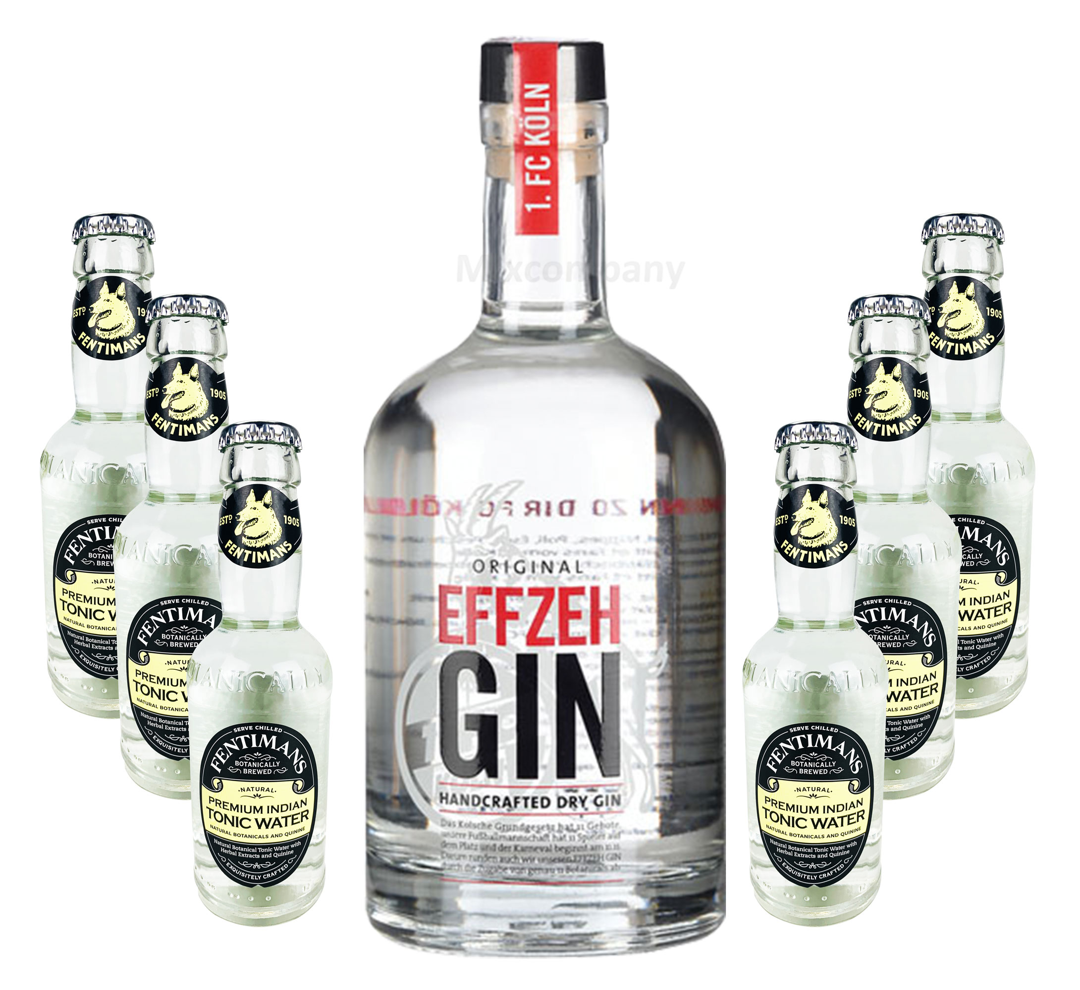 Effzeh Handcrafted Dry Gin 0,5l 500ml (42% Vol) + 6xFentimans Premium Indian Tonic Water 0,2l MEHRWEG inkl. Pfand Gin Tonic Bar- [Enthält Sulfite]